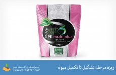 کود جهت تشکیل تا تکمیل میوه NPK Multi Plus