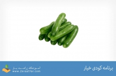 برنامه کودی خیار