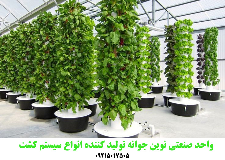دستگاه کشت عمودی هیدروپونیک ایروپونیک یا طبقاتی دستگاه کشت عمودی هیدروپونیک ایروپونیک یا طبقاتی