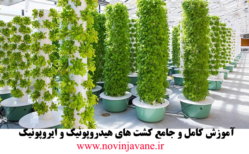 دستگاه کشت عمودی هیدروپونیک ایروپونیک یا طبقاتی دستگاه کشت عمودی هیدروپونیک ایروپونیک یا طبقاتی