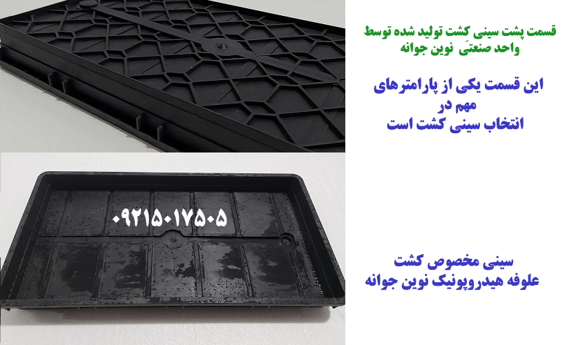 دوره آموزش کشت علوفه هیدروپونیک دوره آموزش کشت علوفه هیدروپونیک