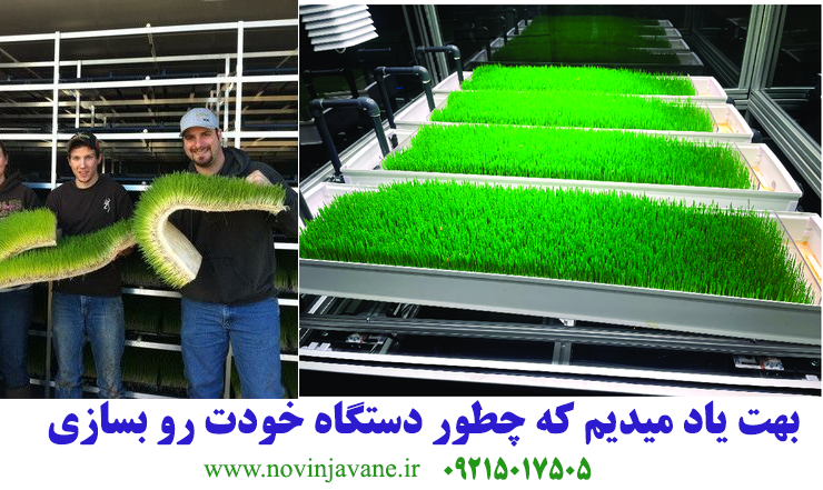 دوره آموزش کشت علوفه هیدروپونیک دوره آموزش کشت علوفه هیدروپونیک