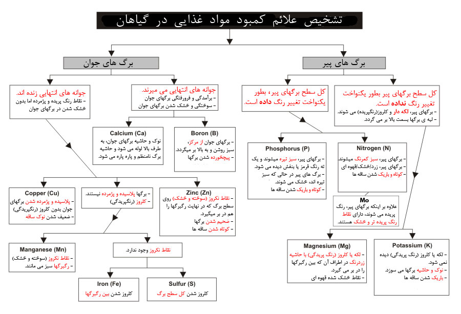 کتاب نقش عناصر و علائم کمبود آنها در گیاهان